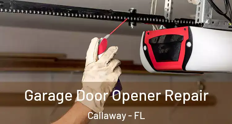 Garage Door Opener Repair Callaway - FL